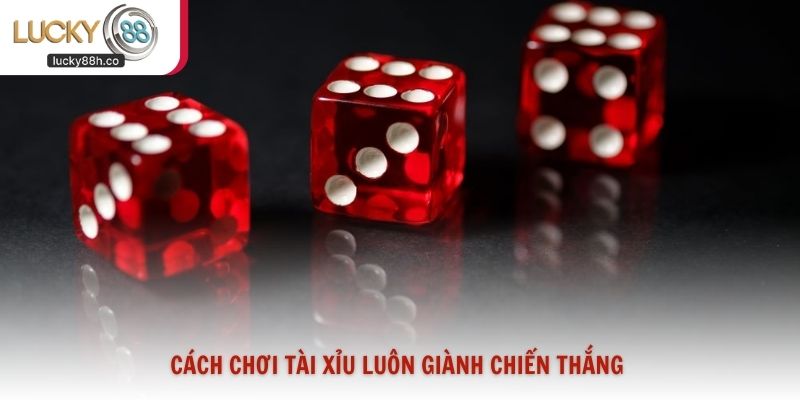 Cách chơi tài xỉu luôn giành chiến thắng